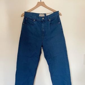 Everlane Way High Jean (Blue)